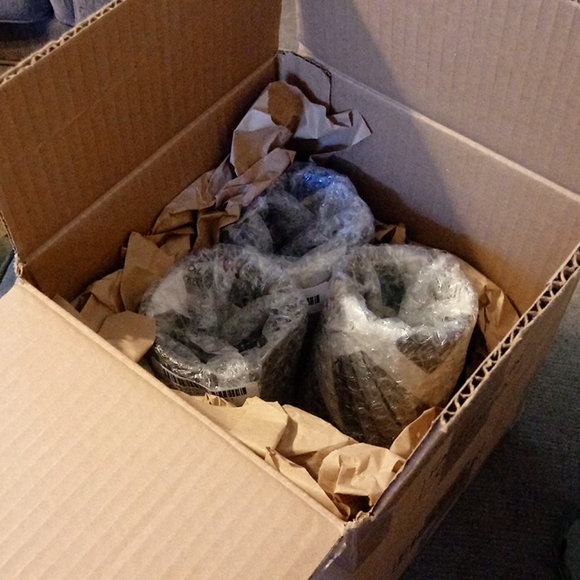 Payaso Glassware, set of 4 - Picture 4 of 4